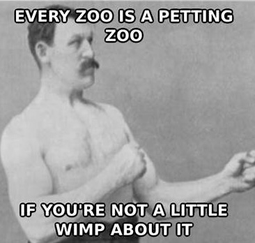 2D86E602-16F7-4BA8-A29D-4A9F8F70FB33.jpeg