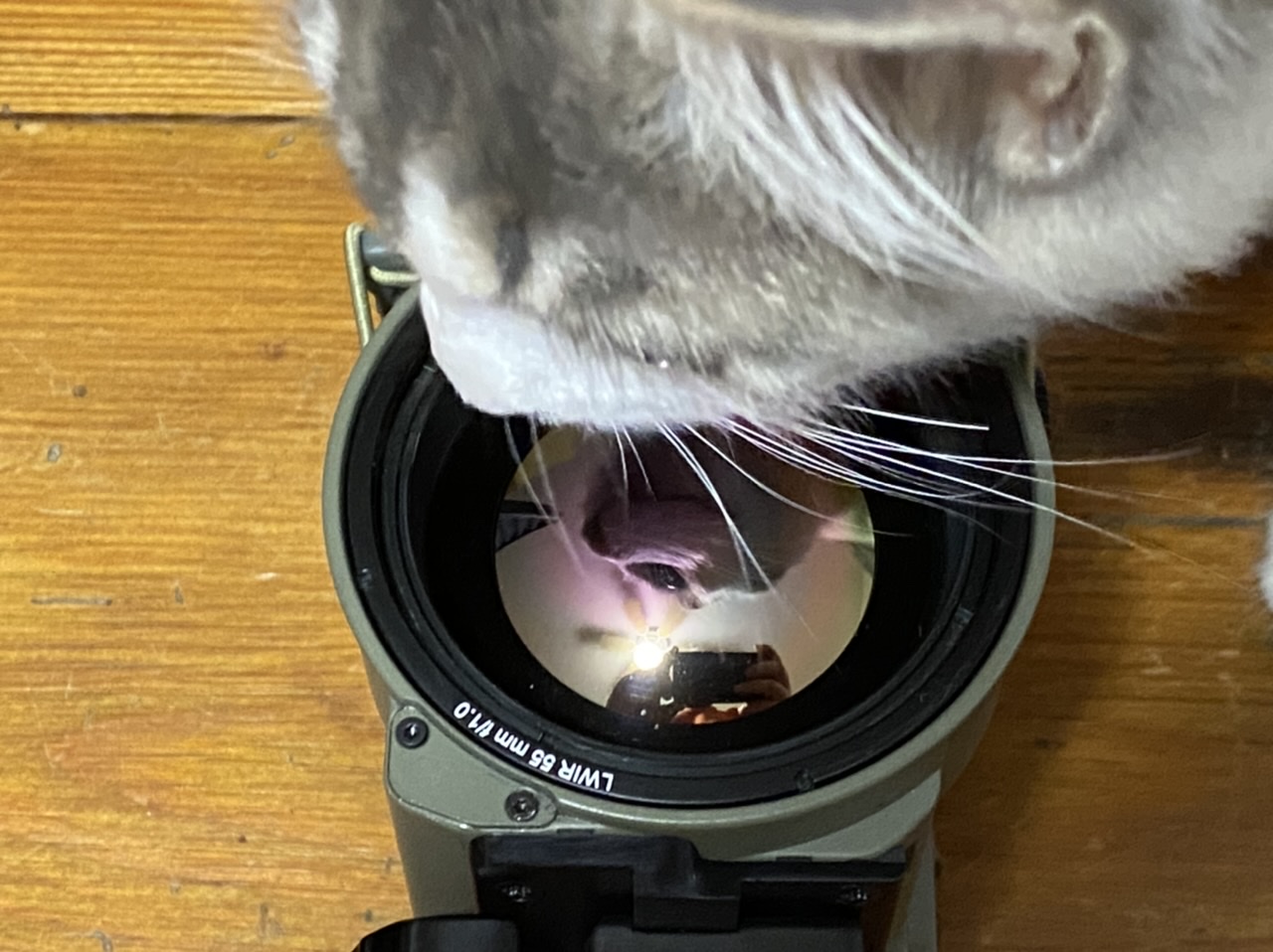 2E109EC5-E1BD-4EFD-B202-4B2D023983CF.jpeg
