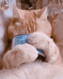 2E2D8017-AF24-4FC4-A51D-8FC6DAF7F8B7.gif