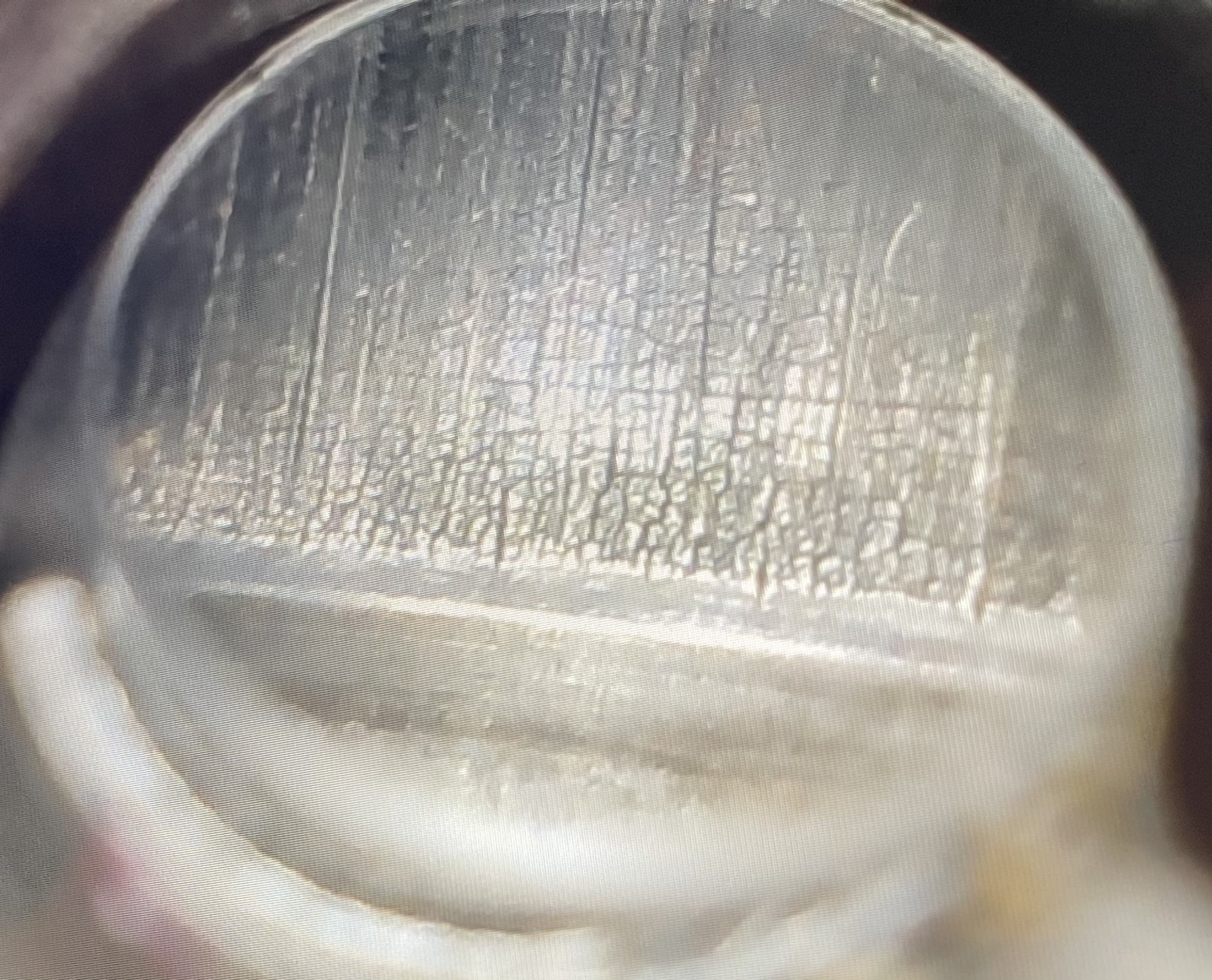 2E904834-DC2F-463A-87B0-D5BF709F9978.jpeg