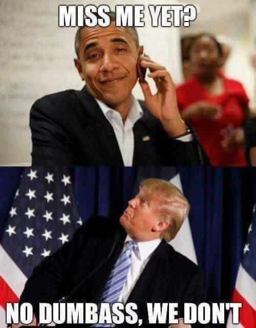 2EA53367-7B24-42F1-B3D7-9C2F728B1898.jpeg