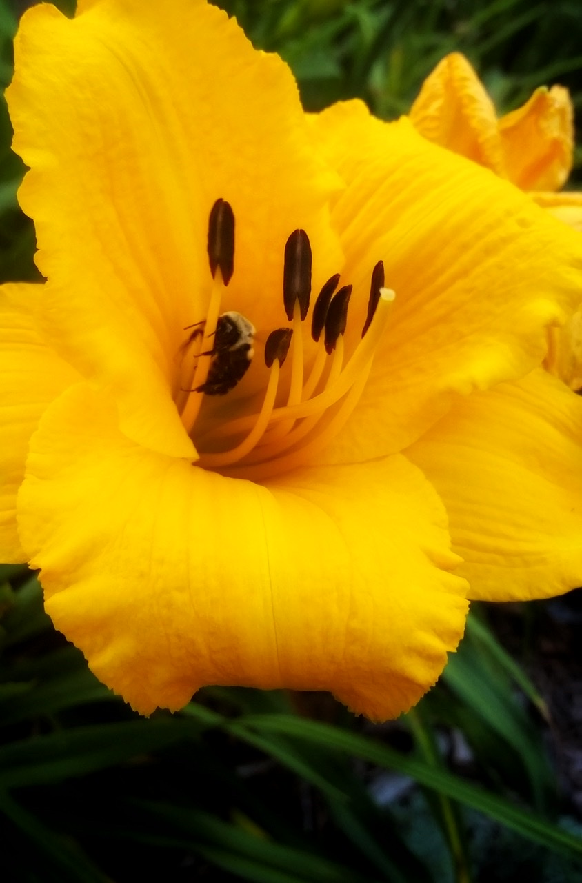 2EBC7593-5EAE-4FAB-B4AA-86C1788AE019.jpeg
