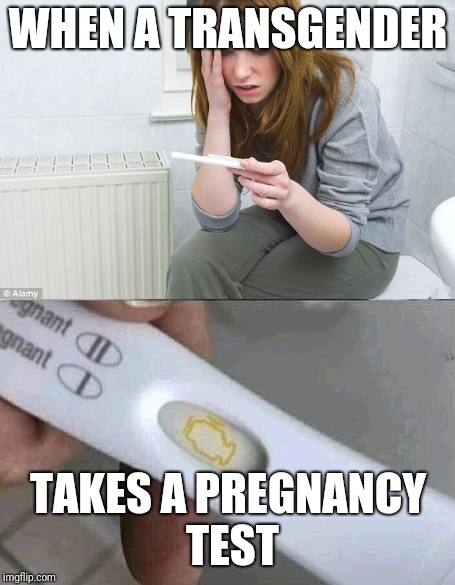 2giz7g.jpeg