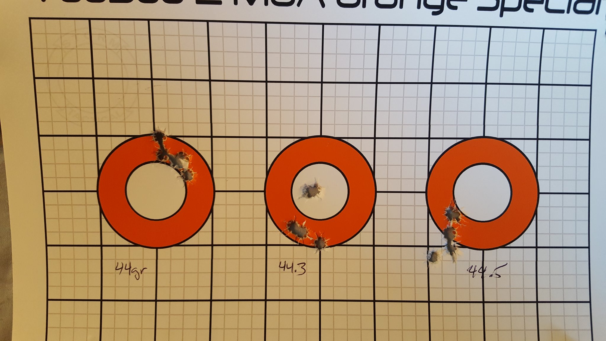2MOADots100YDS.jpg