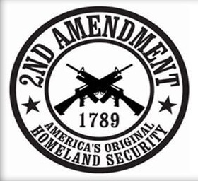 2nd-Amendment-FI-1.jpg