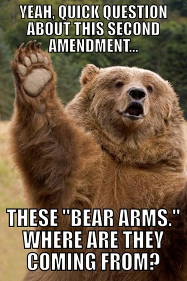 2nd ammendment.jpeg