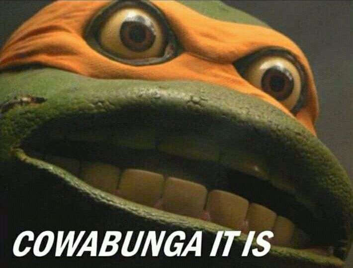 2nyice.jpg