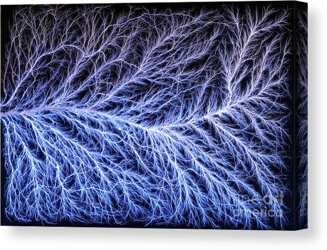 3-electrical-discharge-lichtenberg-figure-ted-kinsman-canvas-print.jpg