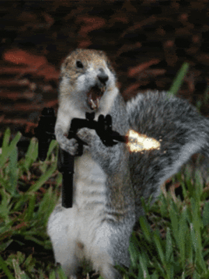 3.gif