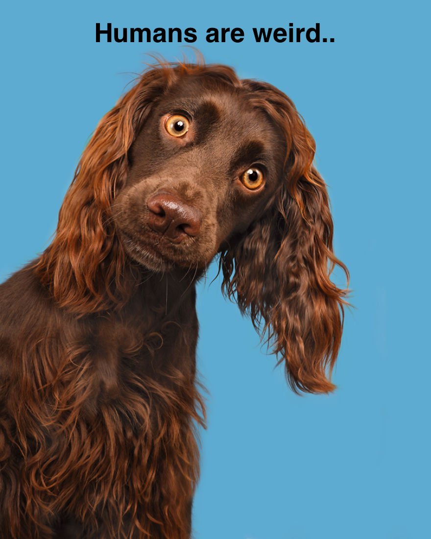 3-Toffee-5ea16da5b365d__880.jpg.9001a13e3d1f148469fb2b7d8009f1f6.jpg
