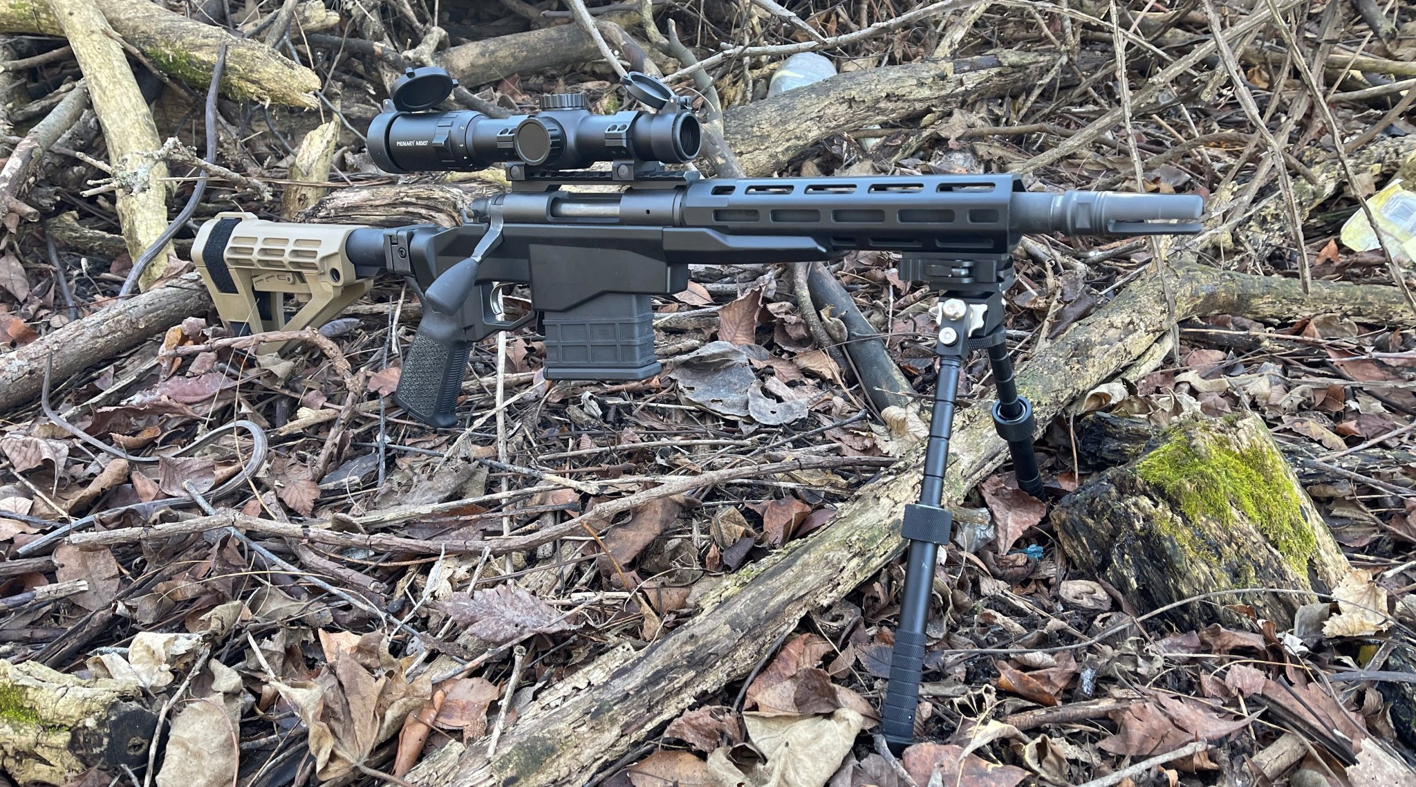 300 blackout pistol in woods 1 (2).JPG
