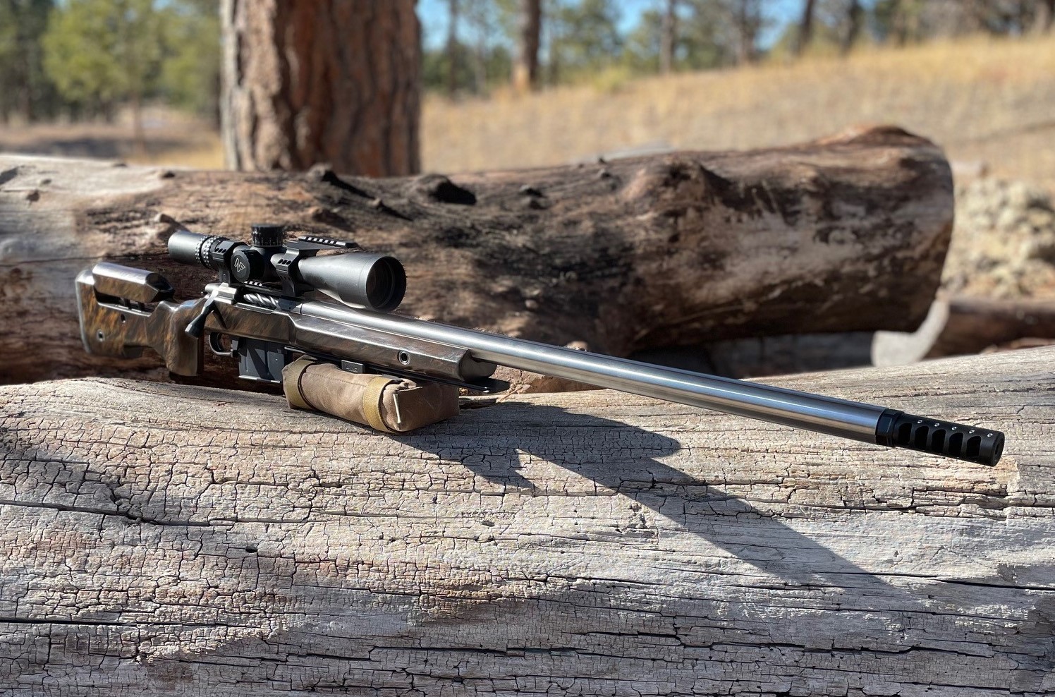 300 Norma 1-1.jpg
