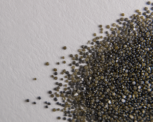 300px-H110_Smokeless_Pistol_Powder_Macro[1].png