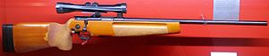 300px-SSG_82_1.jpg