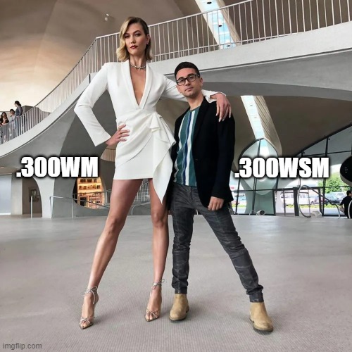 300wina.jpg