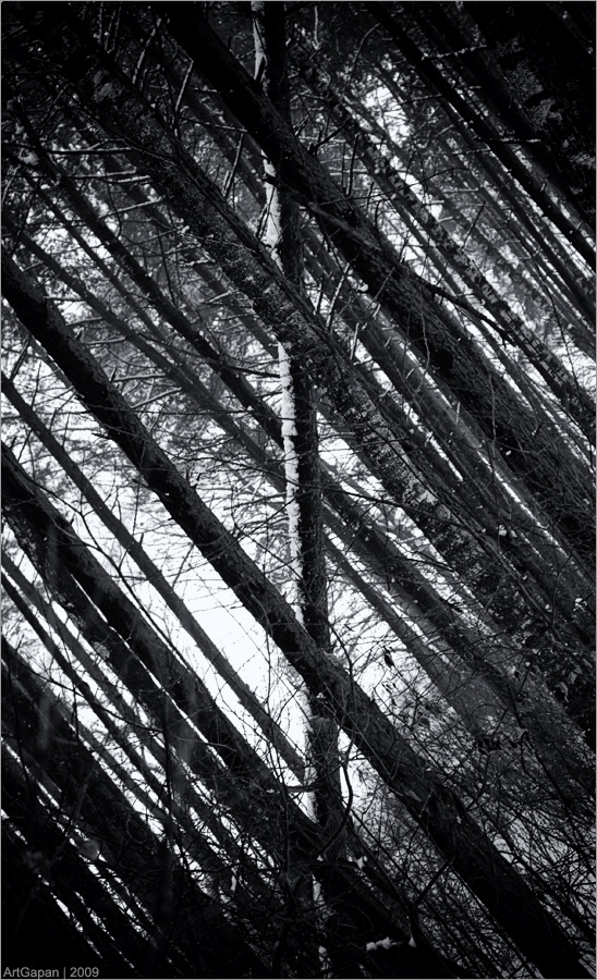 301D458B-C795-406F-8A05-2282F67E9D7B.png