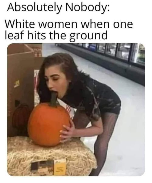 302140566_8719105308115100_1755505200486445414_n.jpg