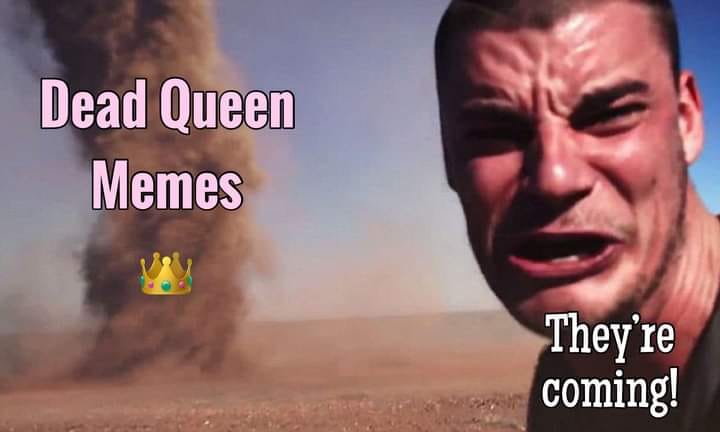 305961949_1451226182038023_3841195409882197444_n.jpg