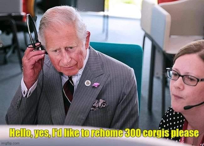 306035873_1451265398700768_2956995481279054287_n.jpg