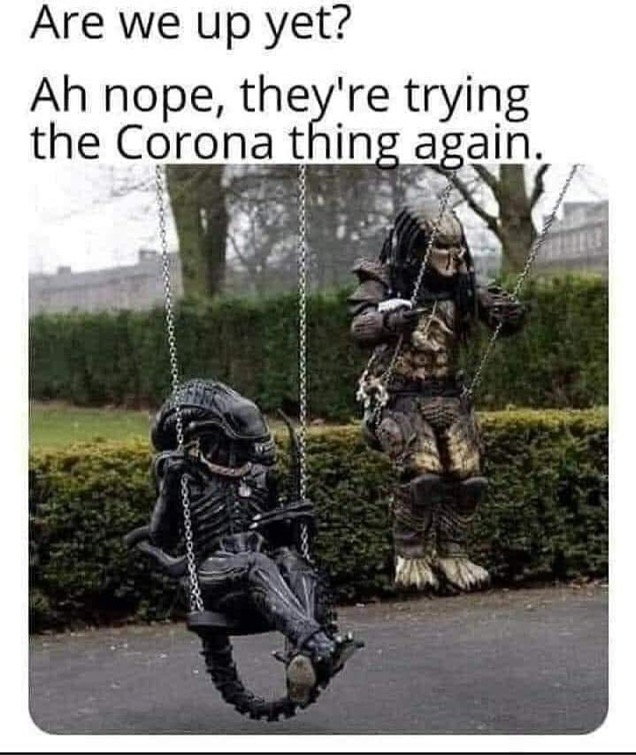 3065C504-19D7-4AE0-90D7-A53E631F329C.jpeg