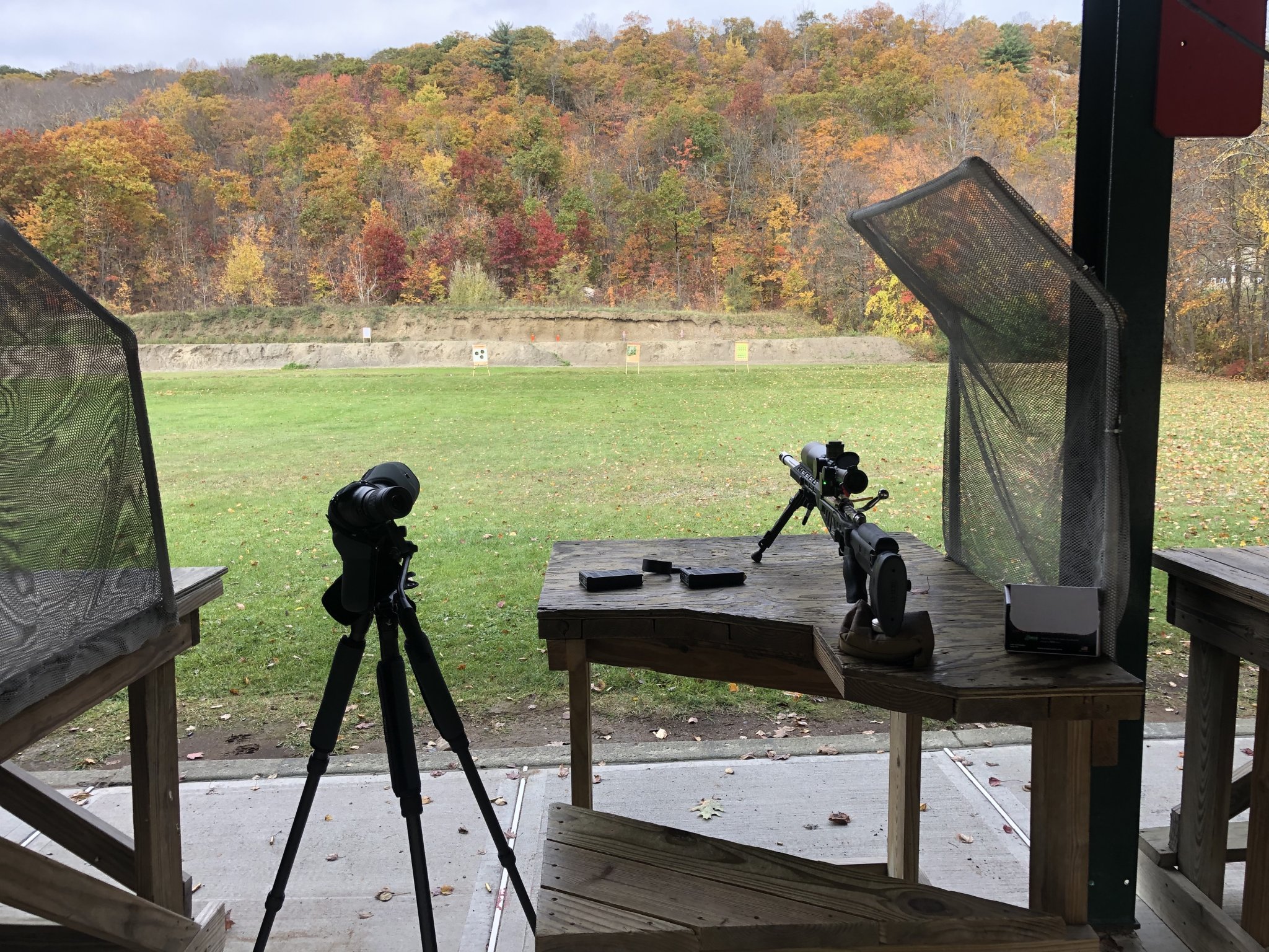 308.jpg