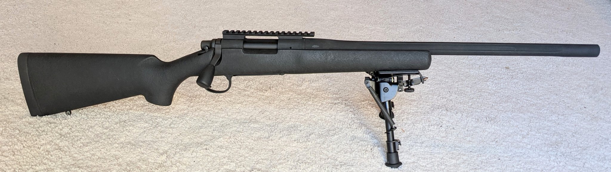 308 LTR.jpg