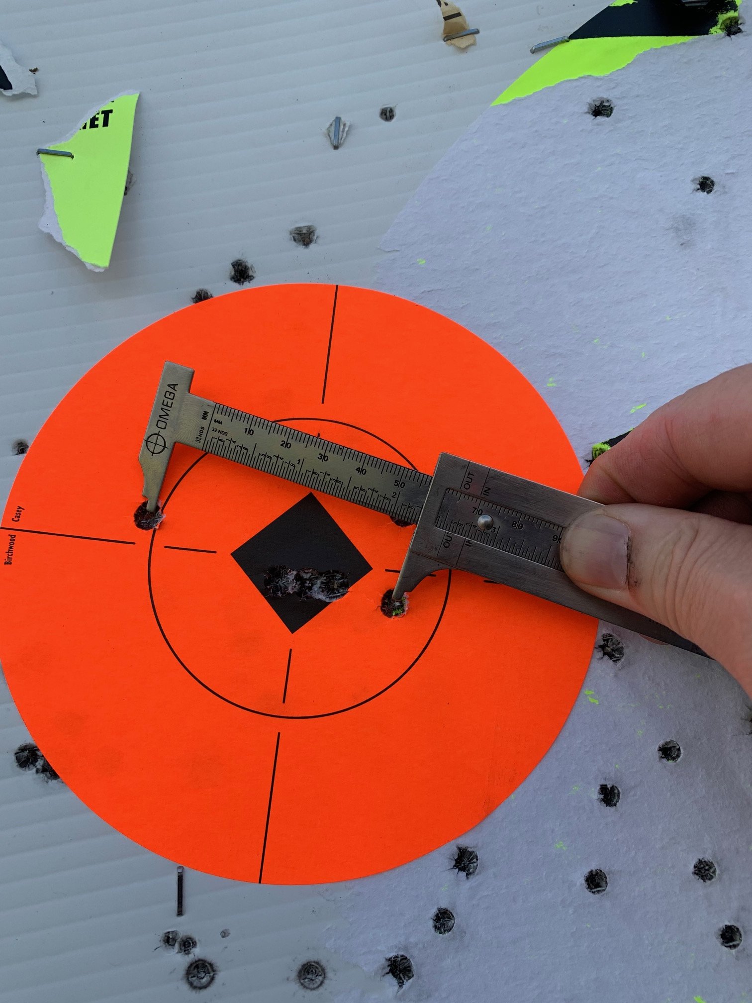 308 Turd final 1.jpg
