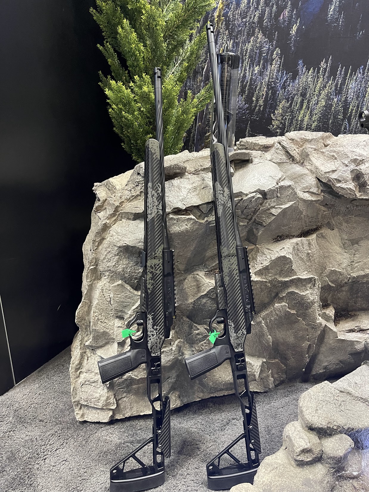 308 vs 6.5 prc.jpg