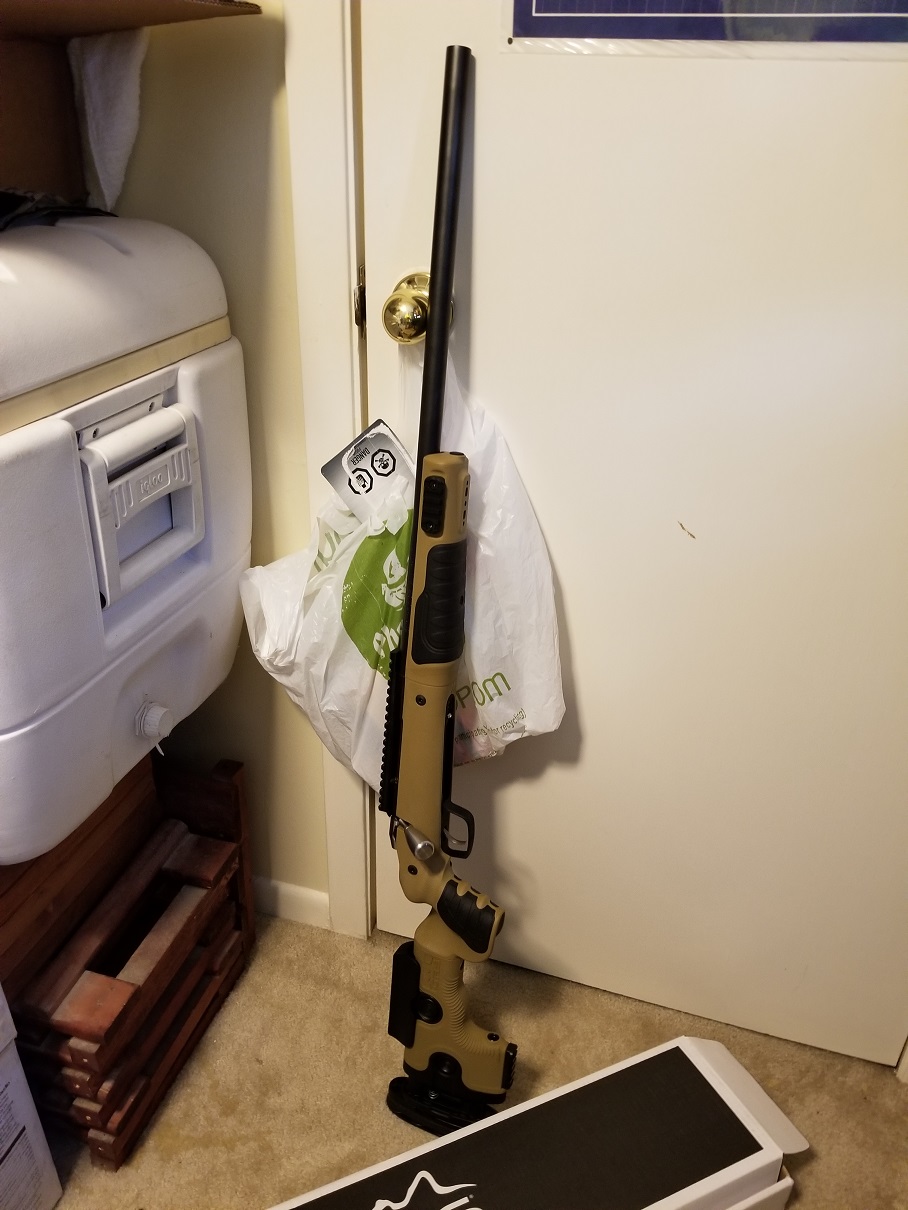 308Bifrost.jpg