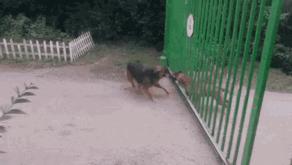 30AB3572-0BA9-460B-871C-5B18B112C1EB.gif