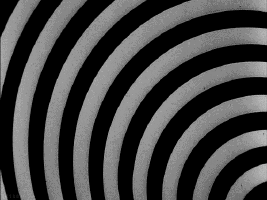 30C70E35-3694-418E-859C-CC0BE54B6B6F.gif