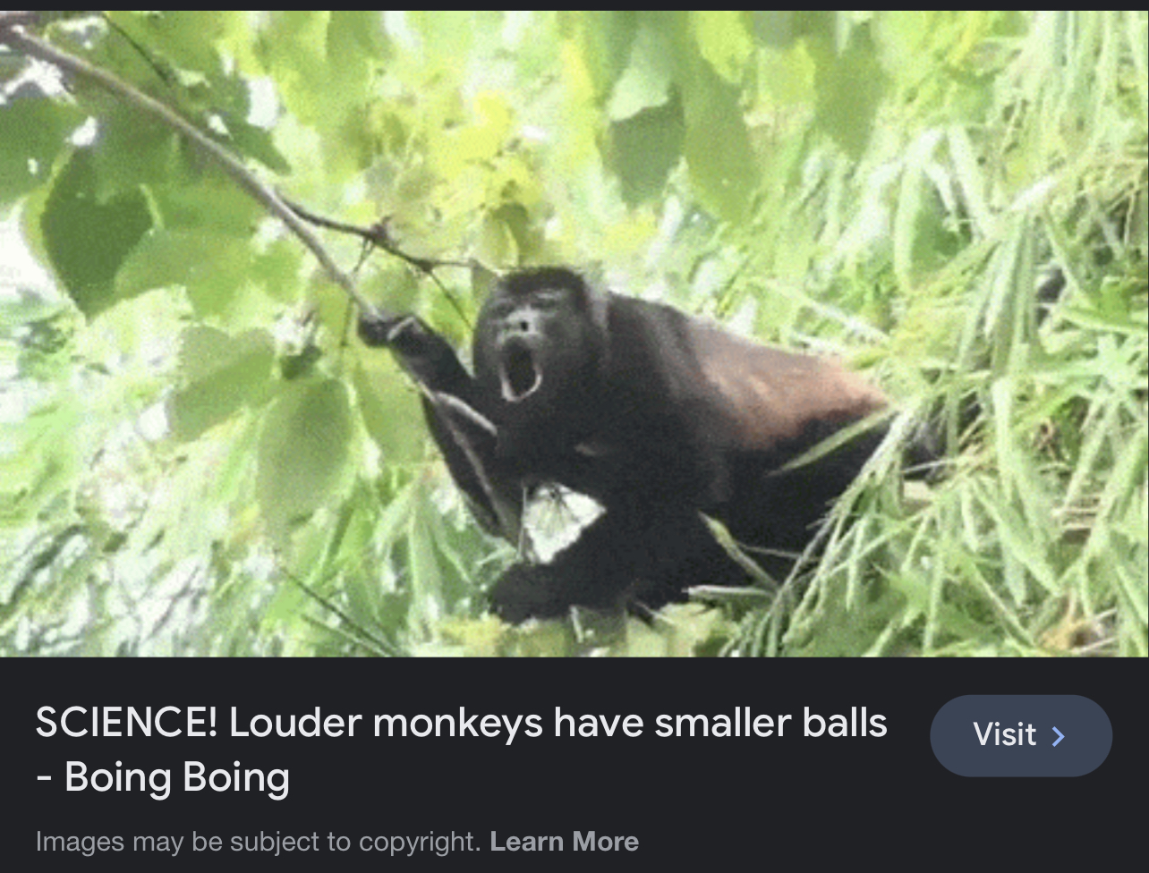 315FDAD7-8318-4826-967F-32509AC0B32E.jpeg