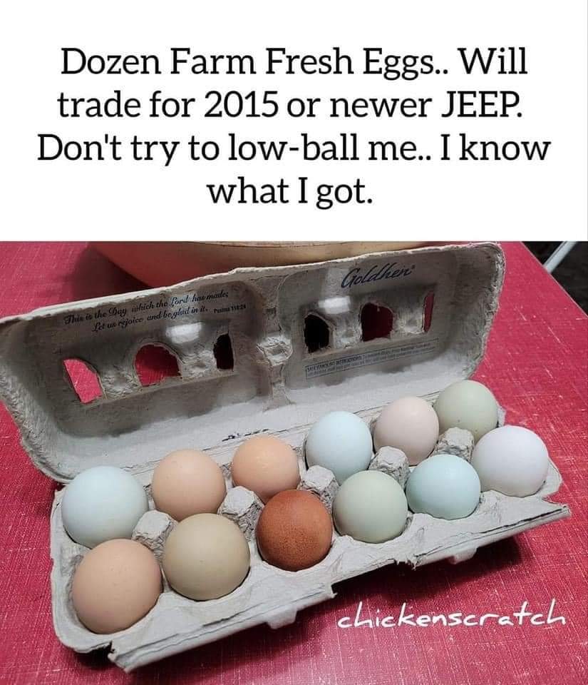 323781688_709880907305702_2597982142587373279_n.jpeg