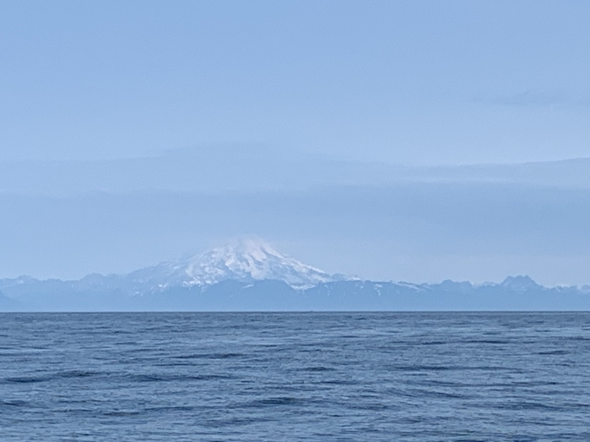 3299480D-9139-4243-8D3B-D0C4E64F37B4.jpeg