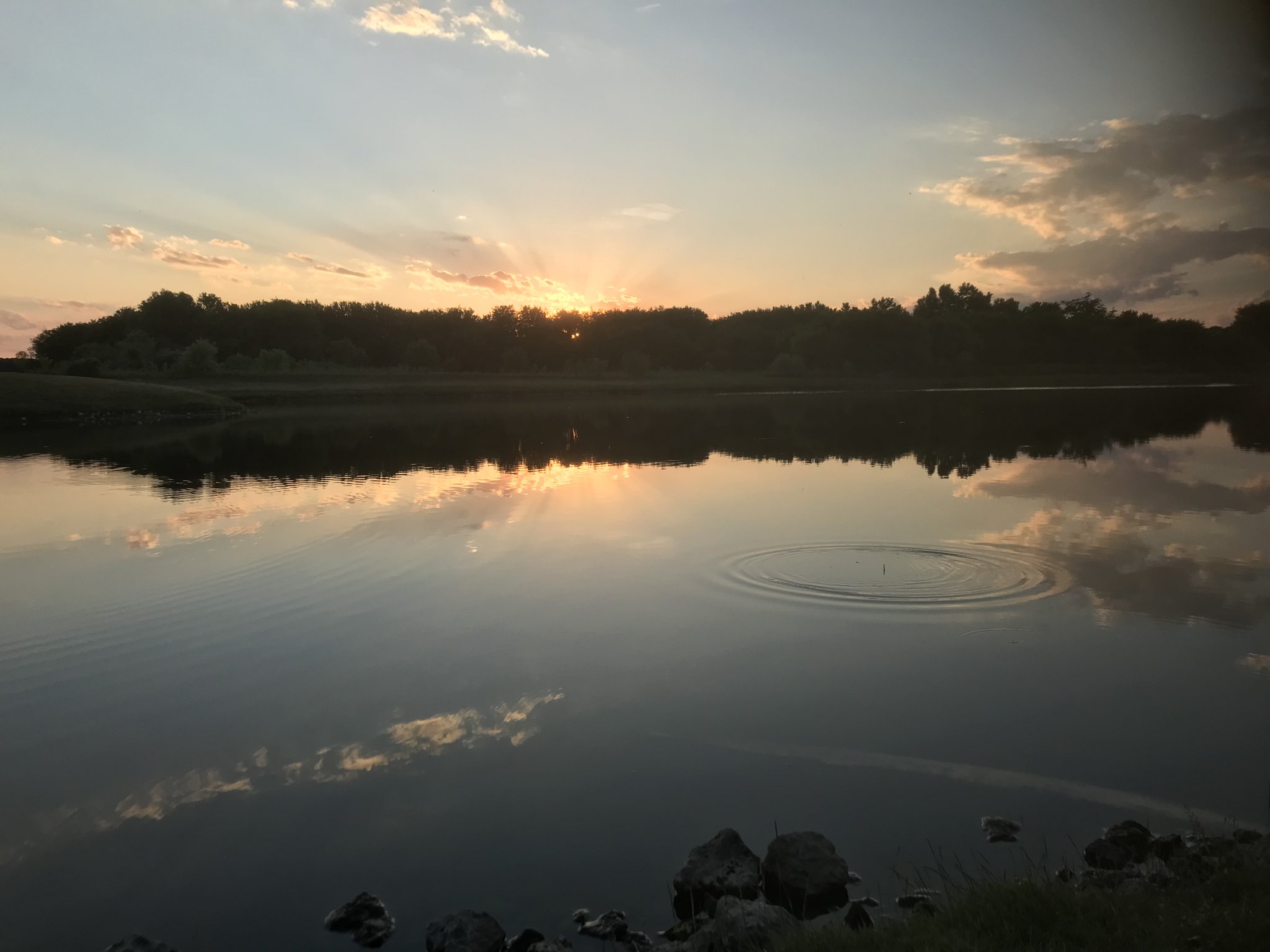 32D03EB0-A4B3-4D11-AD12-67F3F3DEF6A5.jpeg