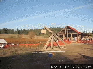 32d890028fde5908058b5babbfa67333.gif