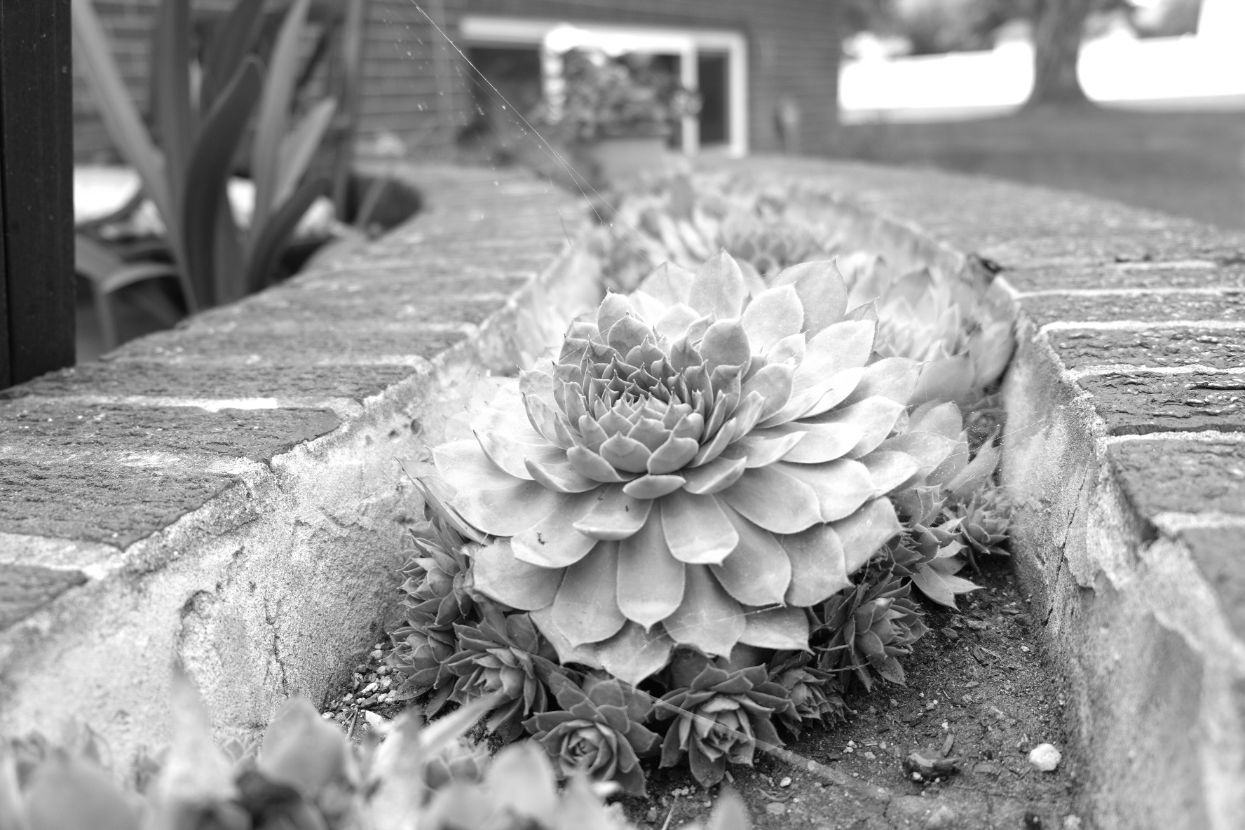 32ED0FD5-2B8E-48EF-8418-4A13D57DDA4C.jpeg