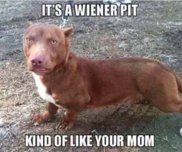 33 Debauchery Ridden Memes too Hot for the Day Time.jpeg