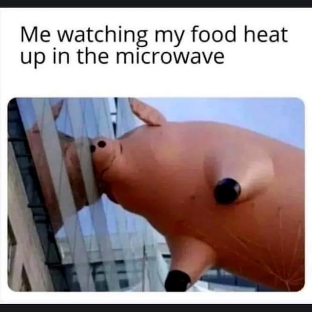 330240877_1579087889270100_8939237780227714700_n.jpeg
