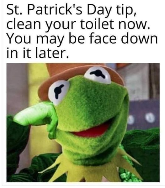 33305910.jpg