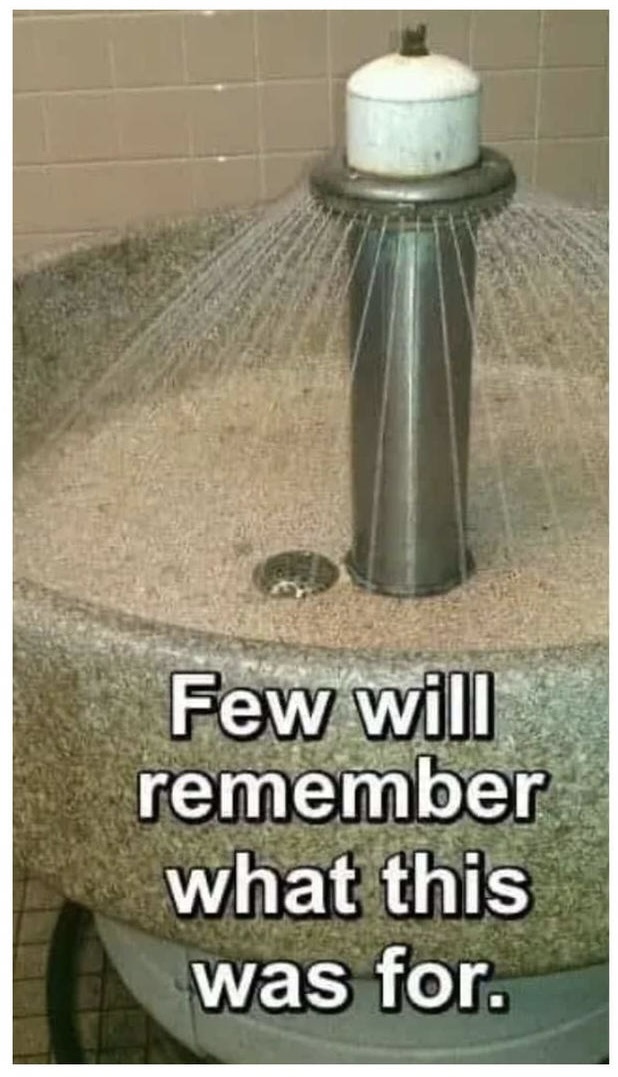 333218523_23854704983850628_8680959963348851102_n.jpeg