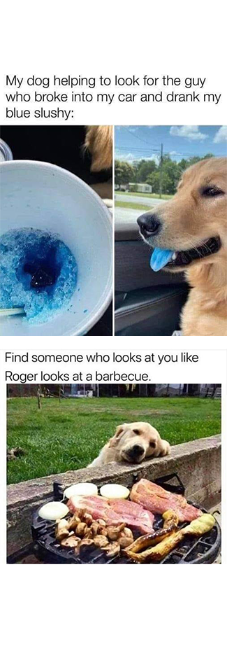 334277725_742455487232743_7286544190885692516_n.png