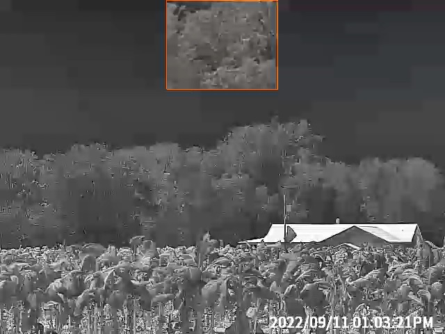 33445CA2-7539-46A6-9888-532C4DD5EF9F.jpeg