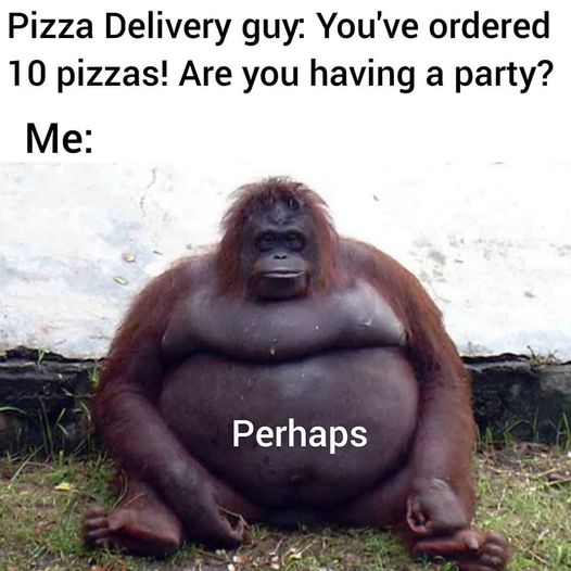 334588782_647550283623471_5923152340488518921_n.jpeg