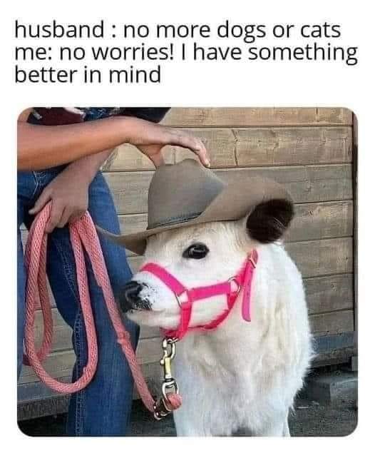334701908_886598372682215_8210349298163212305_n.jpeg