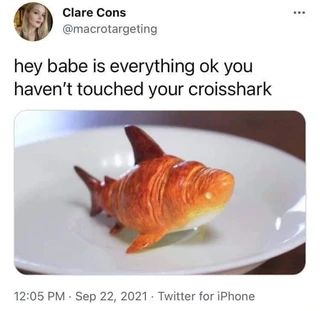 335181690_752047863095841_780808483340685022_n.jpeg