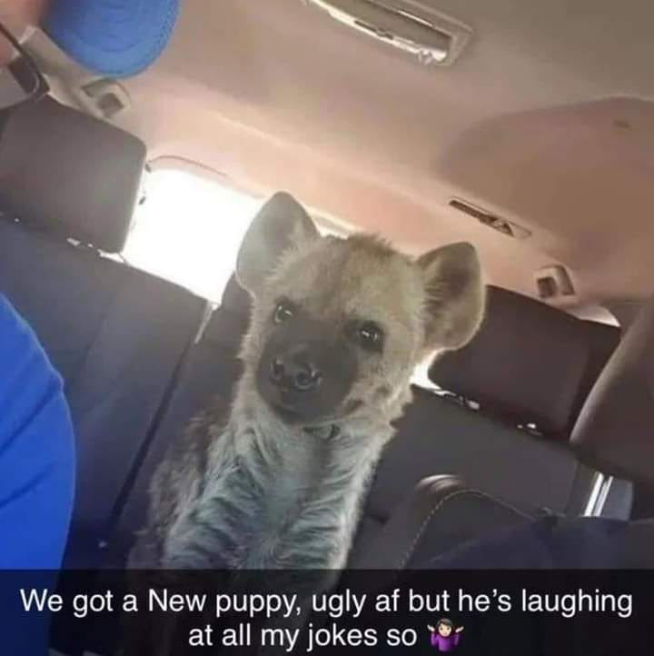 335272154_1273916783224409_642995066358390556_n.jpeg