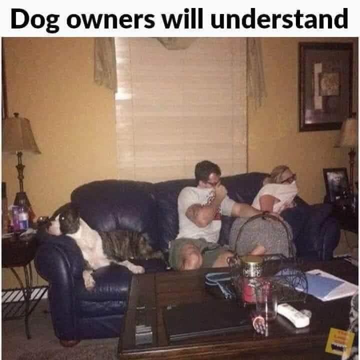 335304038_561357029386821_7841289609154244529_n.jpeg