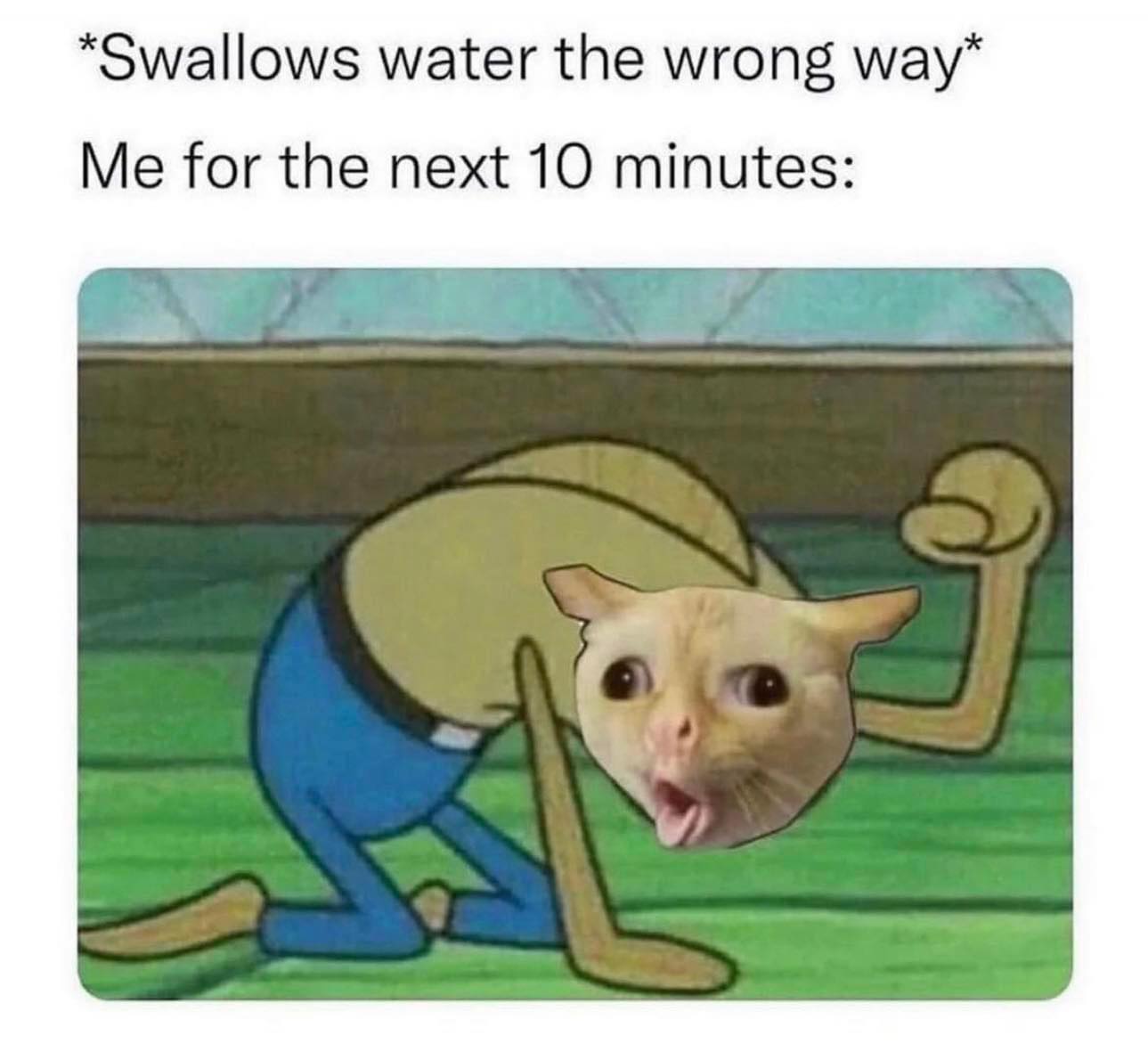 335333864_730070105269649_3831410681467715910_n.jpeg