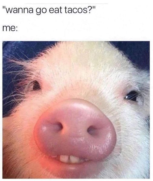 335444020_865030597926745_2059271603996271738_n.jpeg
